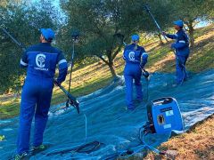 Campagnola Energy4 Benzinli İnverter Zeytin Hasat Jeneratörü 1,25kVA