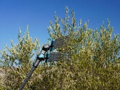 Campagnola Alice Star Zeytin ve Meyve Hasat Makinesi