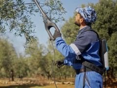 Campagnola Alice Star Karbon Sensörlü Zeytin ve Meyve Hasat Makinesi