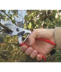 Felco 31 Budama Makası ve F-Tech 30/3 Yedek Bıçaklı Özel Seri