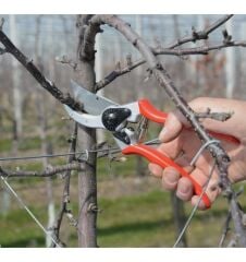 2 Budama Makası ve F-Tech 2/3 Yedek Bıçaklı Özel Seri